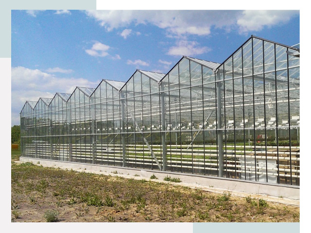 Строительство теплиц в Новоалтайск от 613 руб. за м²