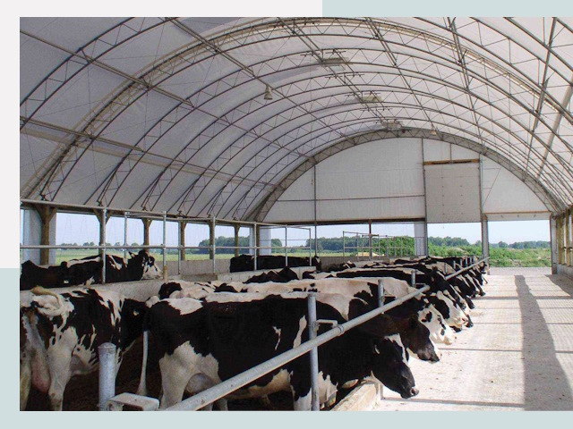 Тентовые коровники в Новоалтайске